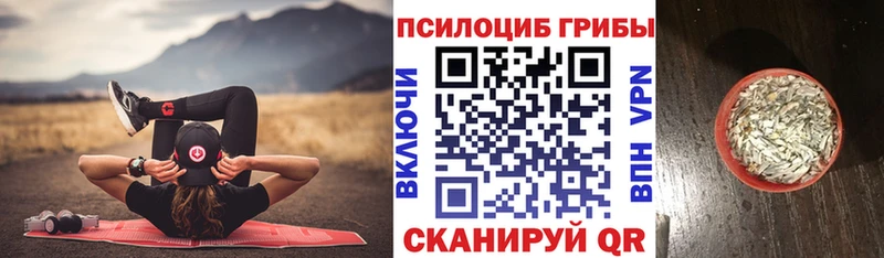 Псилоцибиновые грибы Cubensis Темников
