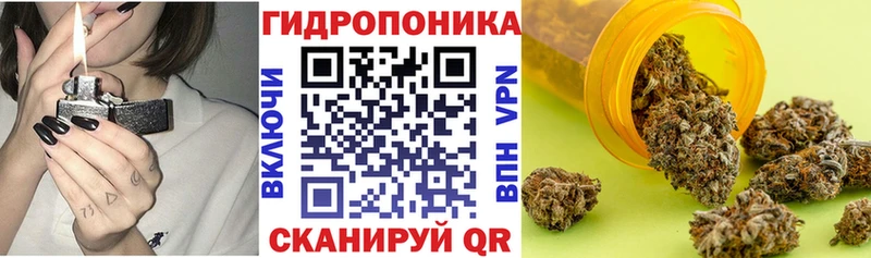 Бошки Шишки SATIVA & INDICA  ОМГ ОМГ как войти  Темников 